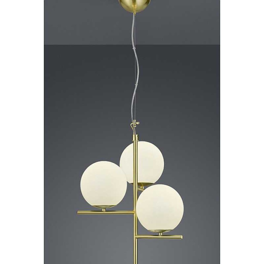 D Coration meubles moss | Suspension Design En M Tal Dor - Pure