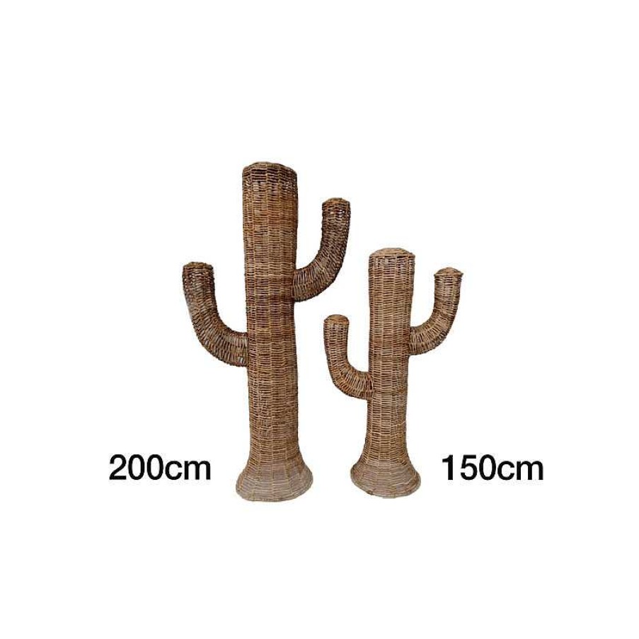 D Coration meubles moss | D Coration Cactus En Jonc De Mer Poser 200 Cm - Tampico 200