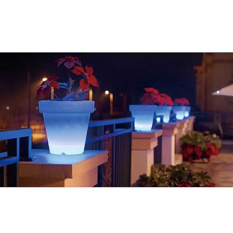 Jardin meubles moss | Pot Lumineux Ext Rieur Led Blanc