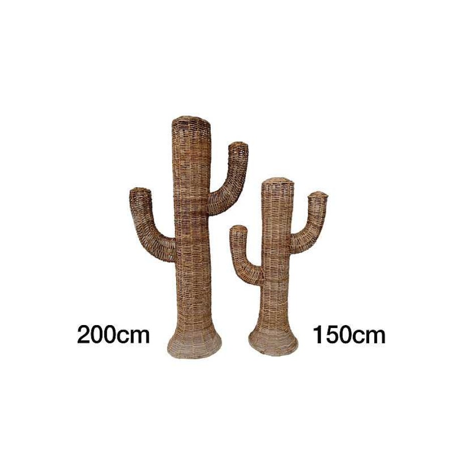 D Coration meubles moss | D Coration Cactus En Jonc De Mer Poser 150 Cm - Tampico 150